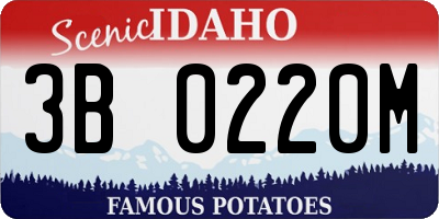 ID license plate 3B0220M