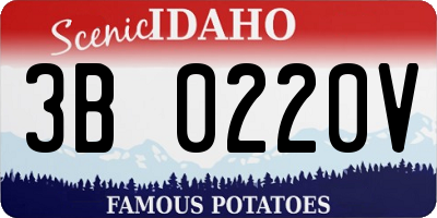 ID license plate 3B0220V
