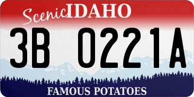 ID license plate 3B0221A