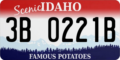 ID license plate 3B0221B