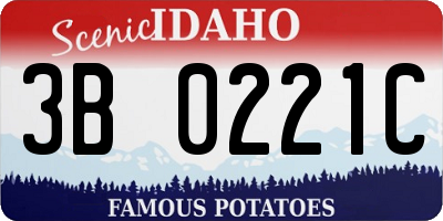 ID license plate 3B0221C