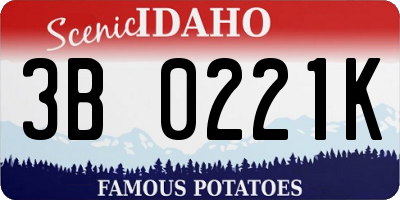 ID license plate 3B0221K