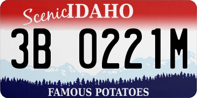 ID license plate 3B0221M