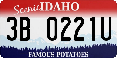 ID license plate 3B0221U