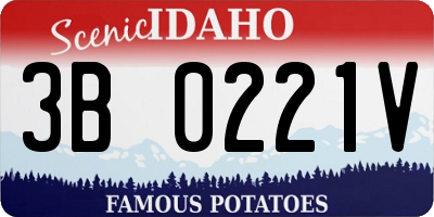 ID license plate 3B0221V