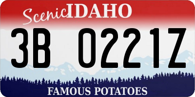 ID license plate 3B0221Z