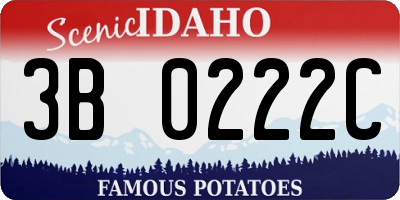 ID license plate 3B0222C
