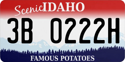 ID license plate 3B0222H