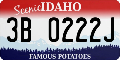 ID license plate 3B0222J