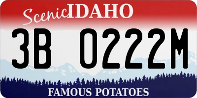 ID license plate 3B0222M