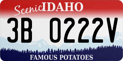 ID license plate 3B0222V