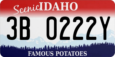 ID license plate 3B0222Y