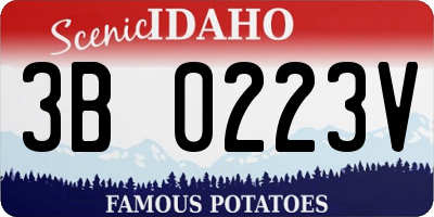 ID license plate 3B0223V