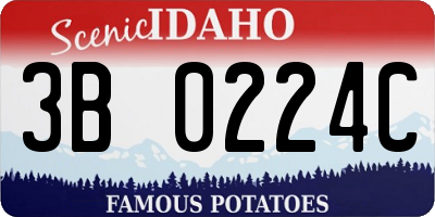 ID license plate 3B0224C