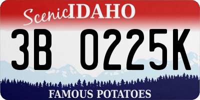 ID license plate 3B0225K