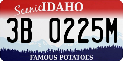 ID license plate 3B0225M
