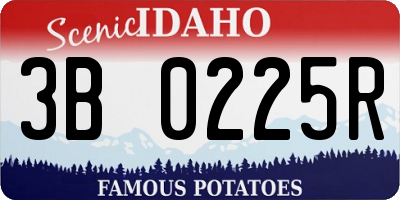 ID license plate 3B0225R