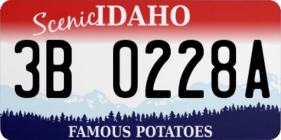 ID license plate 3B0228A