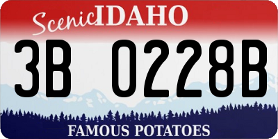 ID license plate 3B0228B