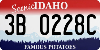ID license plate 3B0228C