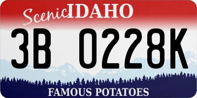ID license plate 3B0228K