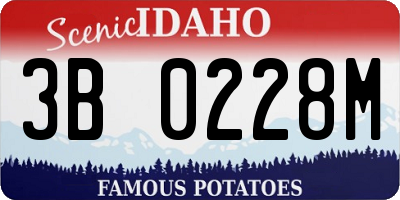 ID license plate 3B0228M