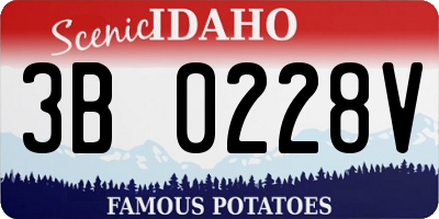 ID license plate 3B0228V