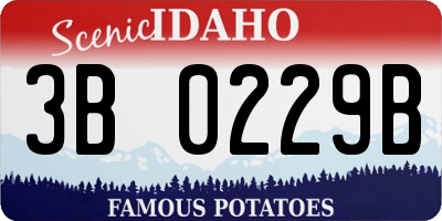 ID license plate 3B0229B