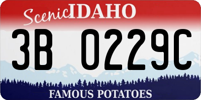 ID license plate 3B0229C