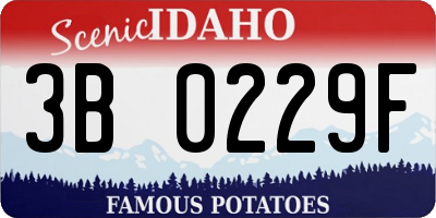 ID license plate 3B0229F