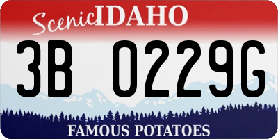 ID license plate 3B0229G