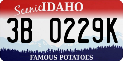 ID license plate 3B0229K