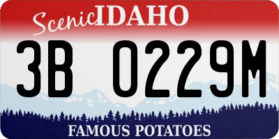 ID license plate 3B0229M