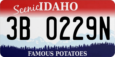 ID license plate 3B0229N