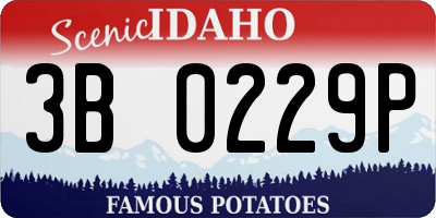 ID license plate 3B0229P