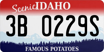 ID license plate 3B0229S