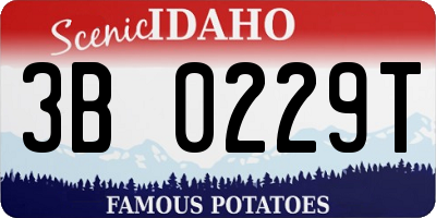ID license plate 3B0229T