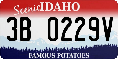 ID license plate 3B0229V