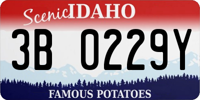 ID license plate 3B0229Y