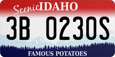 ID license plate 3B0230S