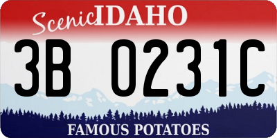 ID license plate 3B0231C