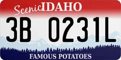 ID license plate 3B0231L