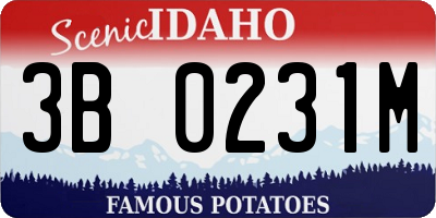 ID license plate 3B0231M