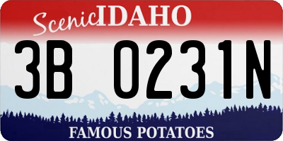ID license plate 3B0231N