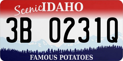 ID license plate 3B0231Q