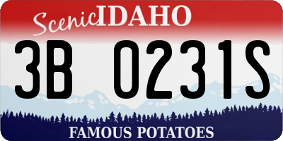 ID license plate 3B0231S