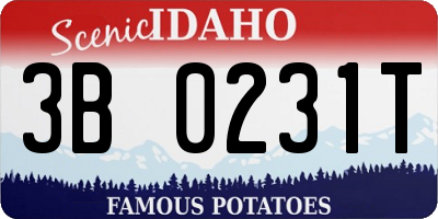 ID license plate 3B0231T
