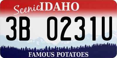 ID license plate 3B0231U