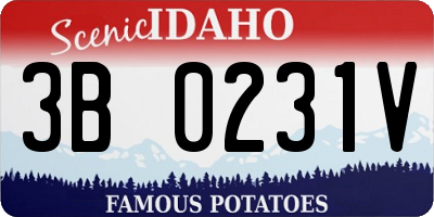 ID license plate 3B0231V