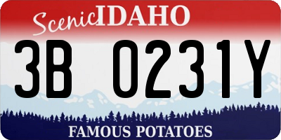 ID license plate 3B0231Y